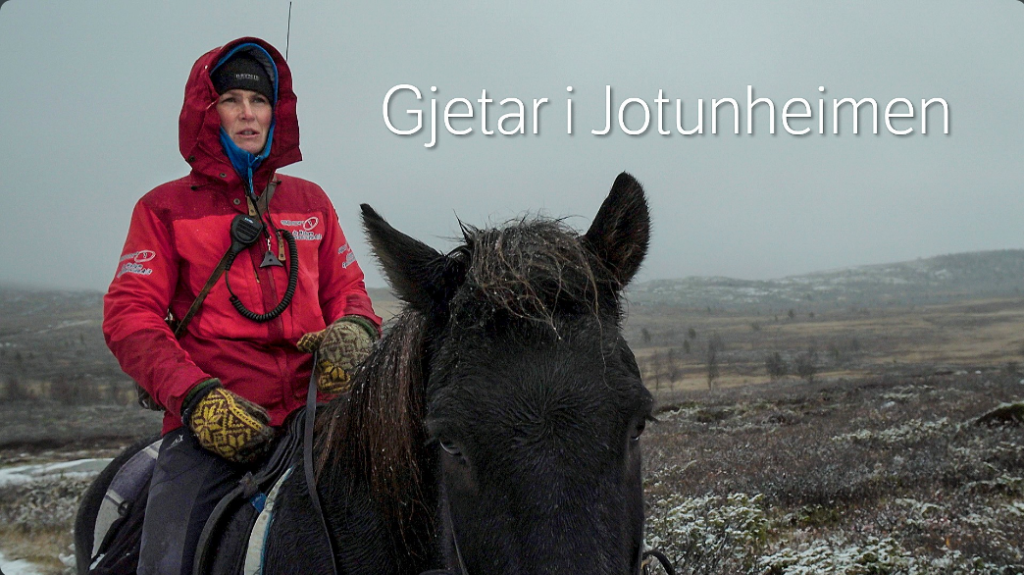 Åpningsbilde til serien: Gjetar i Jotunheimen. Reinsgjetar Ragnhild sitter på en hest som hun bruker i gjertarjobben.